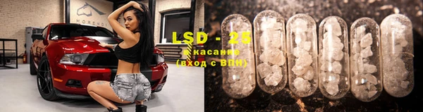 индика Каменка
