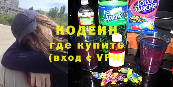 индика Каменка