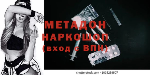 индика Каменка