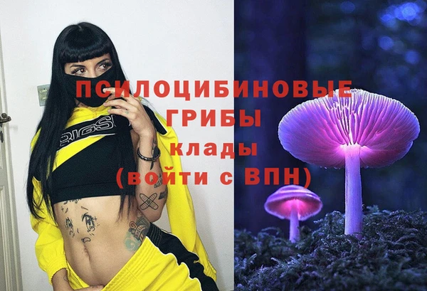 apvp Иннополис