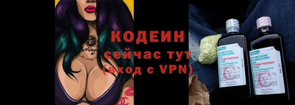 индика Каменка