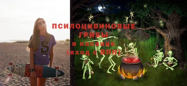 индика Каменка