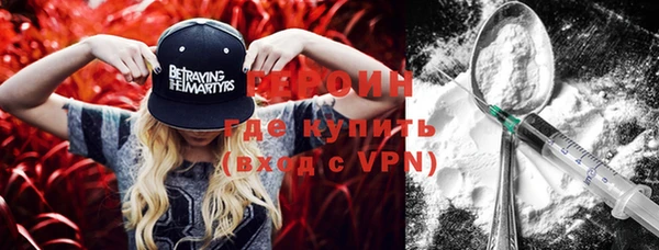индика Каменка
