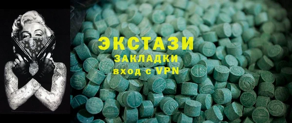 индика Каменка