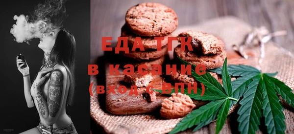индика Каменка