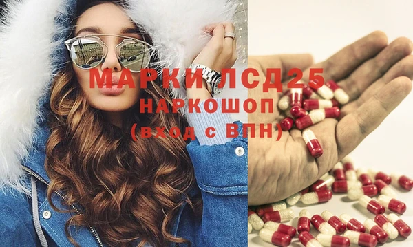 индика Каменка