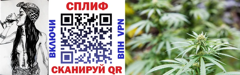 Бошки марихуана план Кировград